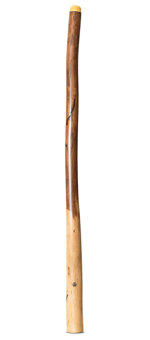 Wix Stix Didgeridoo (WS399)